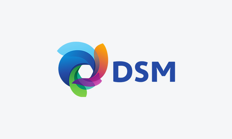 dsm.jpg